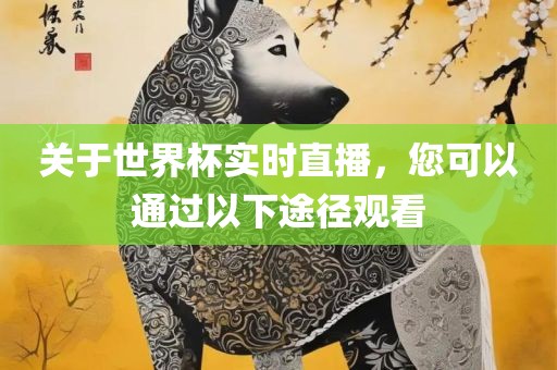 关于世界杯实时直播，您可以通过以下途径观看