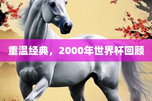 重温经典，2000年世界杯回顾