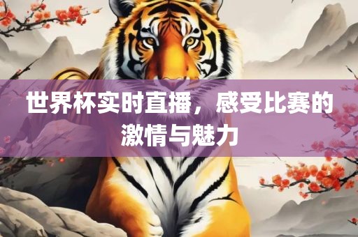 世界杯实时直播，感受比赛的激情与魅力