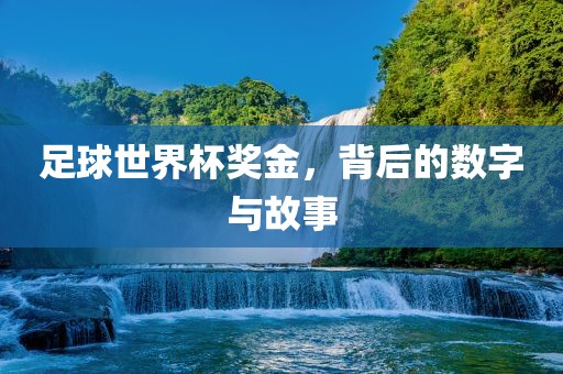足球世界杯奖金，背后的数字与故事