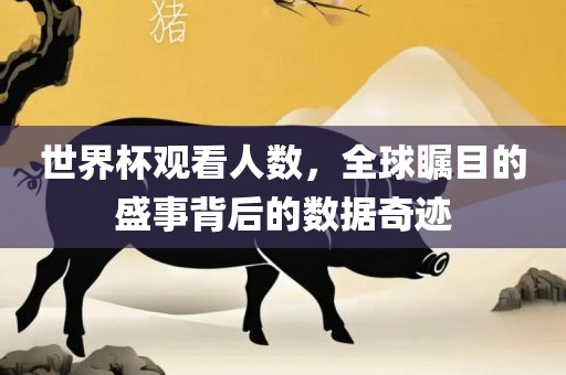 世界杯观看人数，全球瞩目的盛事背后的数据奇迹