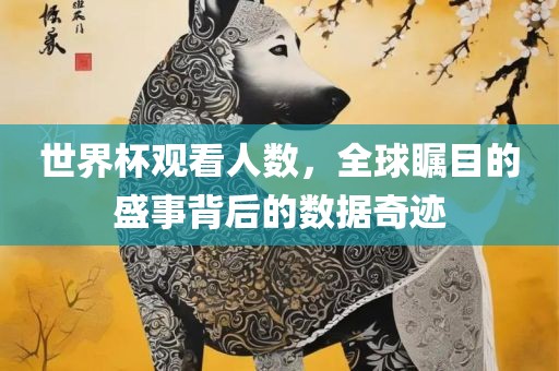 世界杯观看人数，全球瞩目的盛事背后的数据奇迹