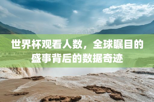 世界杯观看人数，全球瞩目的盛事背后的数据奇迹