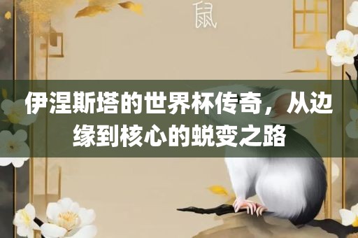 伊涅斯塔的世界杯传奇，从边缘到核心的蜕变之路