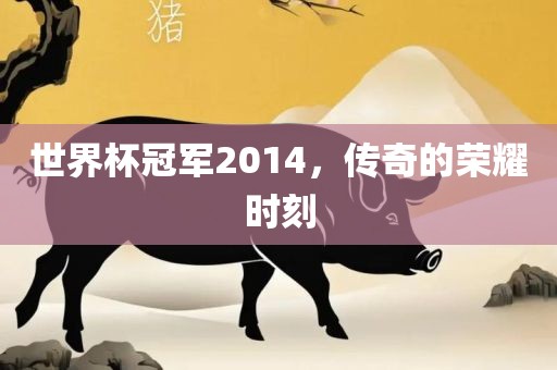 世界杯冠军2014，传奇的荣耀时刻
