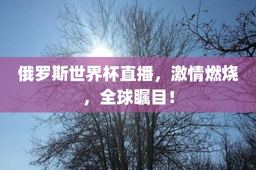 俄罗斯世界杯直播，激情燃烧，全球瞩目！