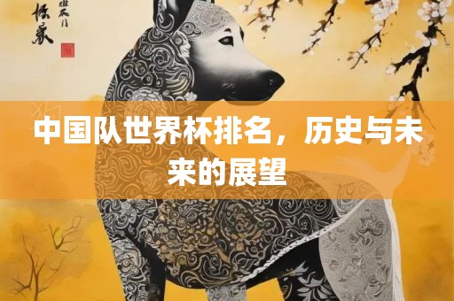 中国队世眉山市正发家政服务有限公司界杯排名，历史与未来的展望