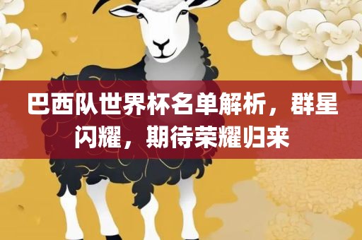 巴西队世界杯名单解析，群星闪耀，期待荣耀归来