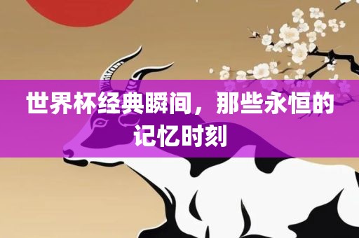 世界杯经典瞬间，那些永恒的记忆时刻