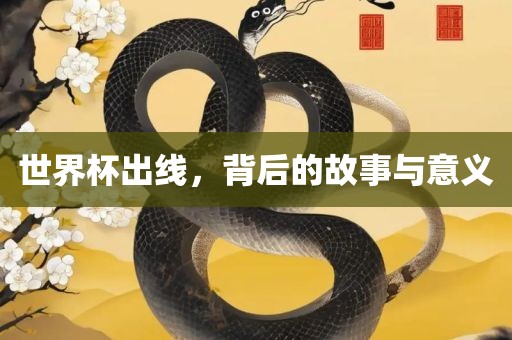 世界杯出线，背后的故事与意义