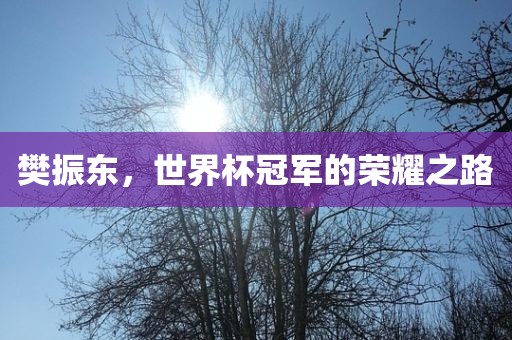 樊振东，世界杯冠军的荣耀之路