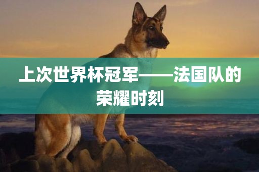 上次世界杯冠军——法国队的荣耀时刻眉山市正发家政服务有限公司