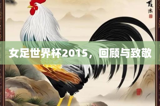 女足世界杯2015，回顾与致敬