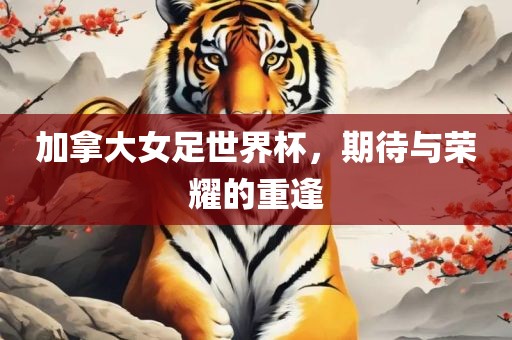 加拿大女足世界杯，期待与荣耀的重逢