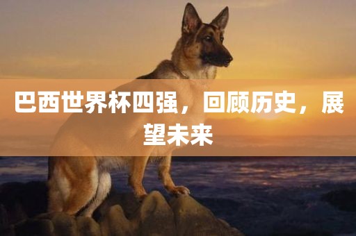 巴西世界杯四强，回顾历史，展望未来眉山市正发家政服务有限公司