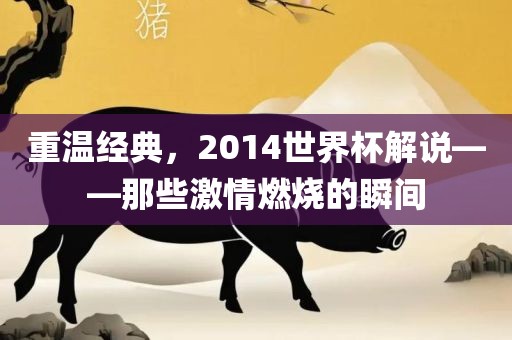 重温经典，2014世界杯解说——那些激情燃烧的瞬间