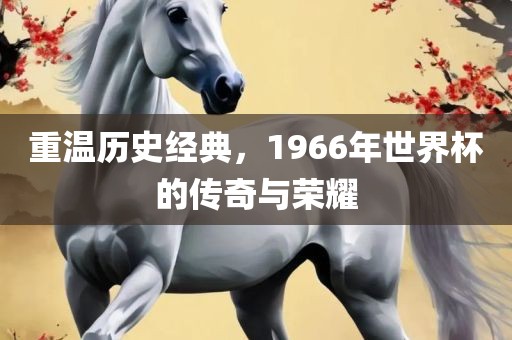 重温历史经典，1966年世界杯的传奇与荣耀