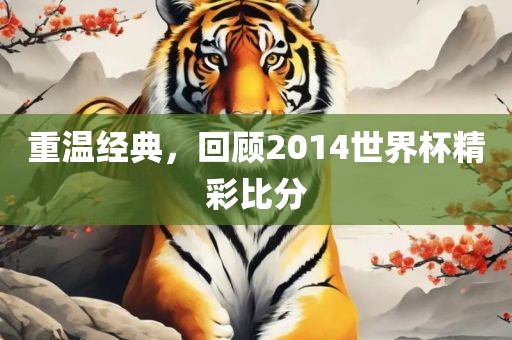 重温经典，回顾2014世界杯精彩比分