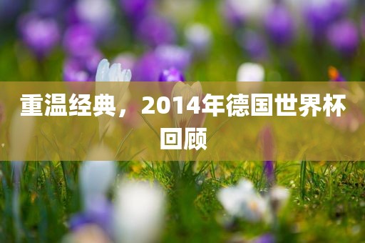 重温经典，2014年德国世界杯回顾