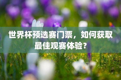 世界杯预选赛门票，如何获取最佳观赛体验？