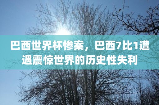 巴西世界杯惨案