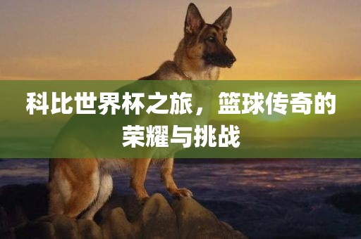 科比世界杯之旅，篮球传奇的荣耀与挑战眉山市正发家政服务有限公司