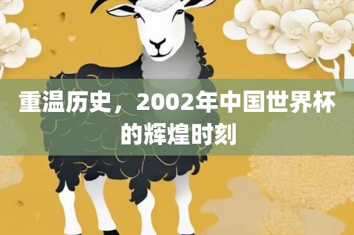 重温历史，2002年中国世界杯的辉煌时刻