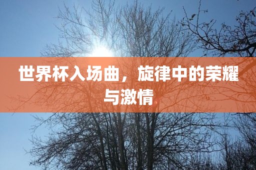 世界杯入场曲，眉山市正发家政服务有限公司旋律中的荣耀与激情