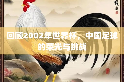 回顾2002年世界杯，中国足球的荣光与挑战