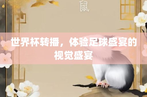世界杯转播，体验足球盛宴的视觉盛宴