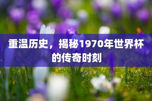 重温历史，揭秘1970年世界杯的传奇时刻
