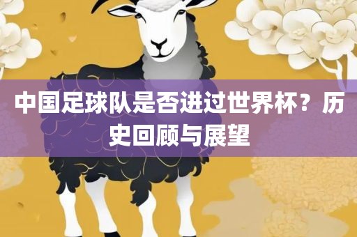 中国足球队是否进过世界杯？历史回顾与展望眉山市正发家政服务有限公司