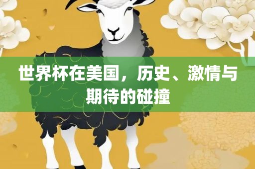世界杯在美国，历史、激情与期待的碰撞