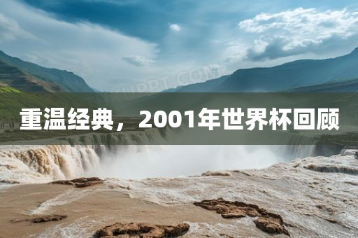 重温经典，2001年世界杯回顾