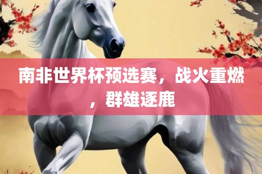 南非世界杯预选赛，战火重燃，群雄逐鹿