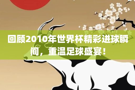 回顾2010年世界杯精彩进球瞬间，重温足球盛宴！