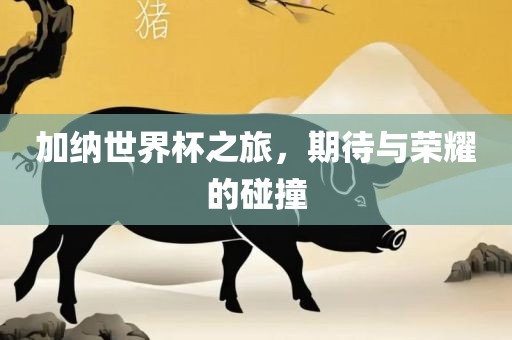 加纳世界杯之旅，期待与荣耀的碰撞