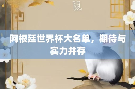 阿根廷世界杯大名单，期待与实力并存