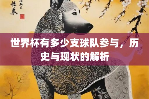 世界杯有多少支球队参与，历史与现状的解析眉山市正发家政服务有限公司