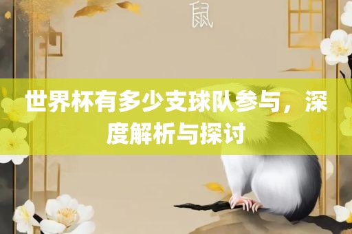世界杯有多少支球队参与，深度解析与探讨眉山市正发家政服务有限公司