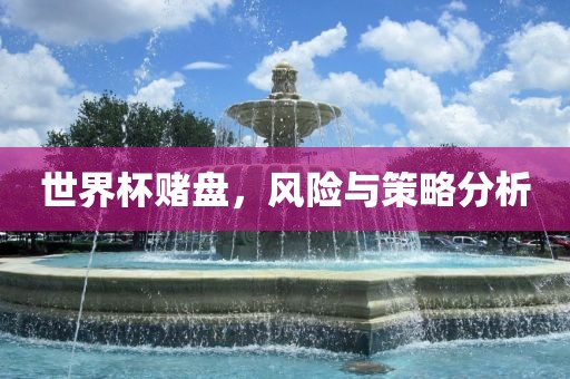 世界杯赌盘，风险与策略分析