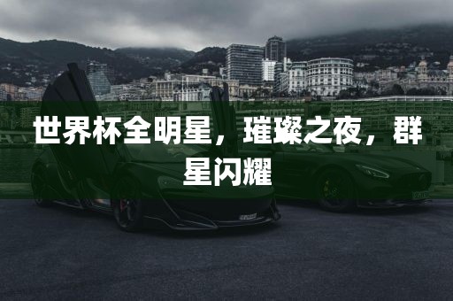 世界杯全明星，璀璨之夜，群星闪耀