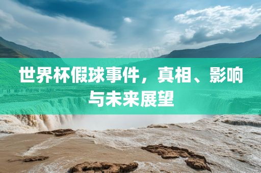 世界杯假球事件，真相、影响与未来展望