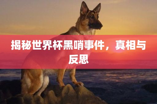 揭秘世界杯黑哨事件，真相与反思