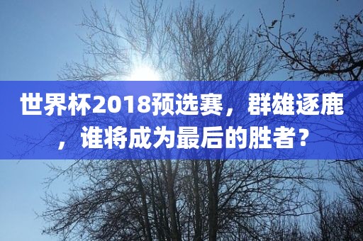 世界杯2018预选赛，群雄逐鹿，谁将成为最后的胜者？