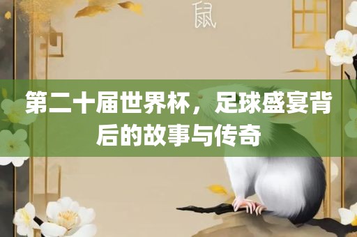 第二十届世界杯，足球盛宴背后的故事与传奇