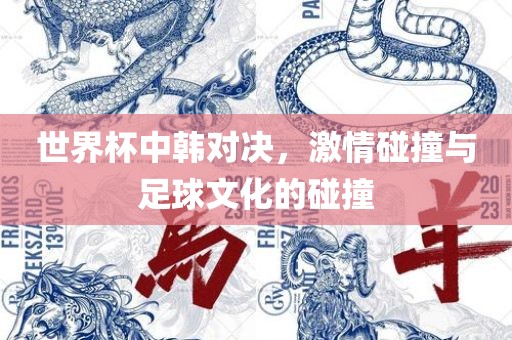 世界杯中韩对决，激情碰撞与足球文化的碰撞