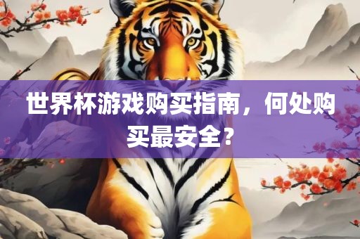 世界杯游戏购买指南，何处购买最安全？