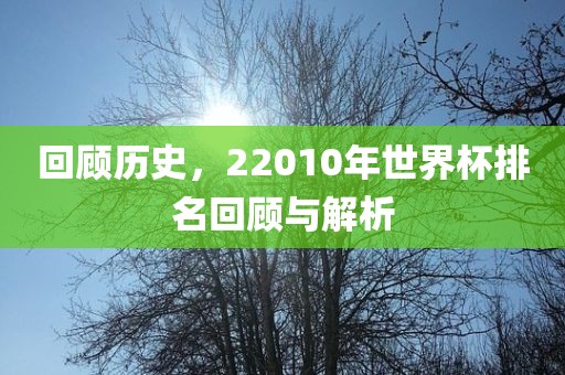 回顾历史，22010年世界杯排名回顾与解析