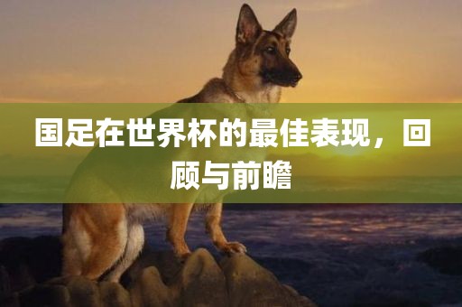 国足在世界杯的最佳表现，回顾与前瞻